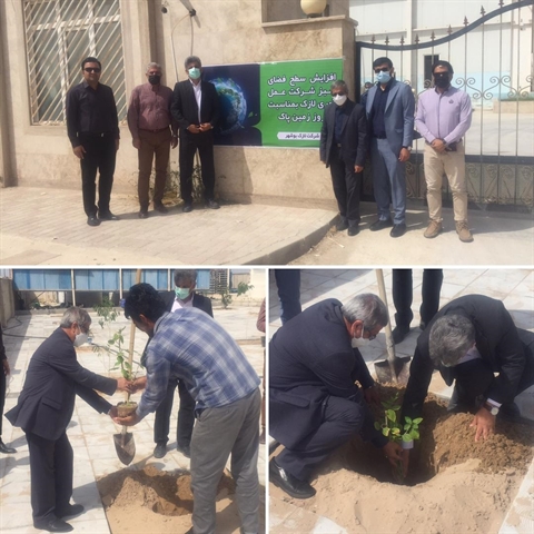 آئین درختکاری در منطقه ویژه اقتصادی بوشهر برگزار شد
