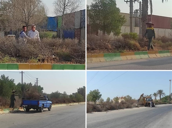 احیای فضای سبز  